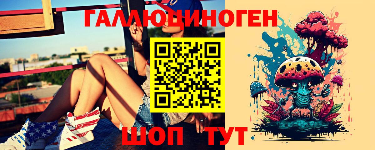 Псилоцибиновые грибы Psilocybe Рославль